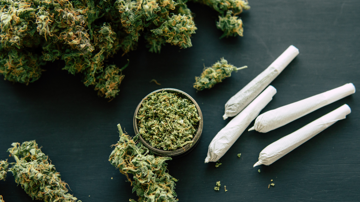 Top 5 OnlyGrams Products: Premium Cannabis Selections Worth Trying in 2025